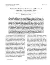 Comparative Analysis of the Structure and Function of Adenovirus Virus-Associated Rnas