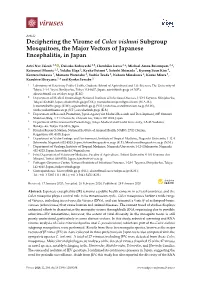 Deciphering the Virome of Culex Vishnui Subgroup Mosquitoes, the Major Vectors of Japanese Encephalitis, in Japan