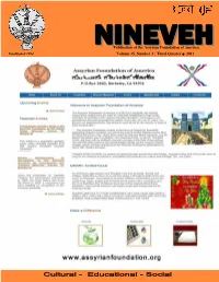 Nineveh 2011-3
