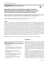 Chloroplast Ultrastructure and Hormone Endogenous Levels Are