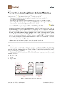 Copper Flash Smelting Process Balance Modeling
