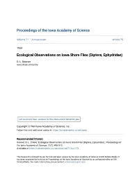 Ecological Observations on Iowa Shore Flies (Diptera, Ephydridae)