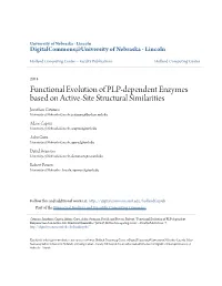 Functional Evolution of PLP-Dependent Enzymes Based on Active-Site Structural Similarities Jonathan Catazaro University of Nebraska-Lincoln, Jcatazaro@Huskers.Unl.Edu