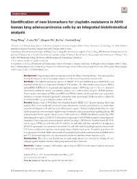 Identification of New Biomarkers for Cisplatin-Resistance in A549 Human Lung Adenocarcinoma Cells by an Integrated Bioinformatical Analysis