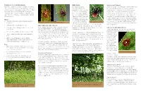 PREVENTION of TICK-BORNE DISEASE Contrary to Popular Belief, Ticks Do Not Jump, Fly Or Fall out of Trees. They Wait on Low Growi