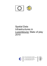 Spatial Data Infrastructures in Luxembourg: State of Play 2010