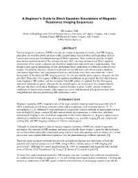A Beginner's Guide to Bloch Equation Simulations of Magnetic