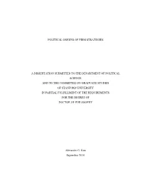 Political Origins of Firm Strategies a Dissertation