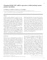 Changing RANKL/OPG Mrna Expression in Differentiating Murine Primary Osteoblasts