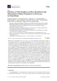 Deletion of Gb3 Synthase in Mice Resulted in the Attenuation of Bone Formation Via Decrease in Osteoblasts