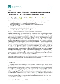 Molecular and Epigenetic Mechanisms Underlying Cognitive and Adaptive Responses to Stress