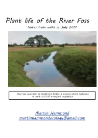 Plant Life of the River Foss Notes from Walks in July 2017