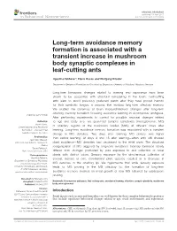 Long-Term Avoidance Memory Formation Is Associated with a Transient Increase in Mushroom Body Synaptic Complexes in Leaf-Cutting Ants
