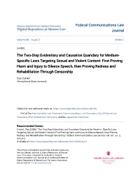 Specific Laws Targeting Sexual and Violent Content: First Proving Ha