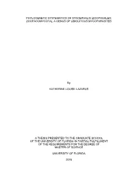University of Florida Thesis Or Dissertation