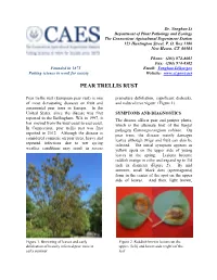 Pear Trellis Rust