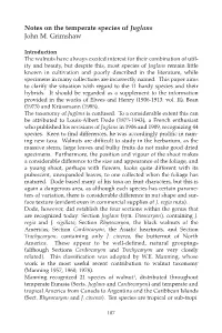 Notes on the Temperate Species of Juglans John M. Grimshaw