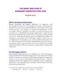 The What and How of Boundary Redistricting 2004