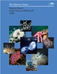 Baseline Report of the Census of Marine Life October 2003