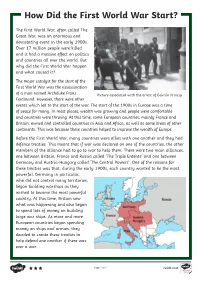 How Did the First World War Start?