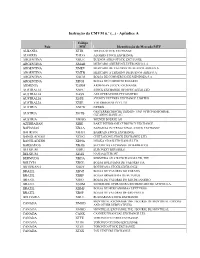 Instrução Da CMVM N.º (...) - Apêndice A