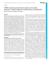 Mirna Targeting and Alternative Splicing in the Stress Response – Events Hosted by Membrane-Less Compartments Mariya M
