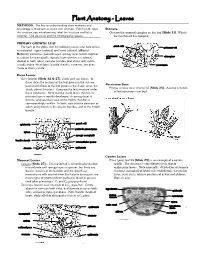 Plant Anatomy - Leaves METHODS: the Key to Understanding Plant Anatomy and Physiology Is to Equate Structure with Function