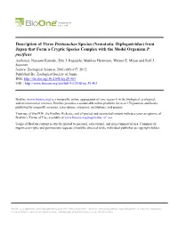 Description of Three Pristionchus Species (Nematoda: Diplogastridae) from Japan That Form a Cryptic Species Complex with the Model Organism P