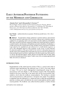 EARLY ANTERIOR/POSTERIOR PATTERNING of the MIDBRAIN and CEREBELLUM Aimin Liu1 and Alexandra L Joyner1,2