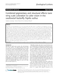 Combined Pigmentary and Structural Effects Tune Wing Scale Coloration To
