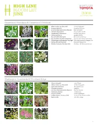 High Line Bloom List June