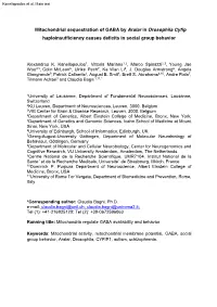 Mitochondrial Sequestration of GABA by Aralar in Drosophila Cyfip Haploinsufficiency Causes Deficits in Social Group Behavior