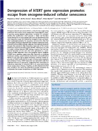 Derepression of Htert Gene Expression Promotes Escape from Oncogene-Induced Cellular Senescence