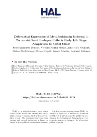 Differential Expression of Metallothionein Isoforms In