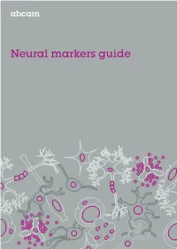 Neural Markers Guide Contents