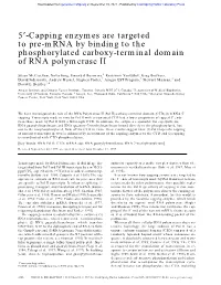 5 -Capping Enzymes Are Targeted to Pre-Mrna by Binding to The