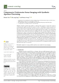 Compressive Underwater Sonar Imaging with Synthetic Aperture Processing