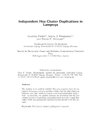 Independent Hox-Cluster Duplications in Lampreys