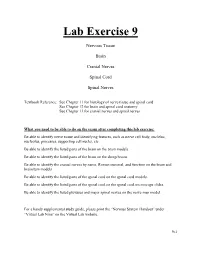 Lab Exercise 9