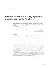 Methods for Detection of Phytophthora Fragariae Var. Rubi on Raspberry
