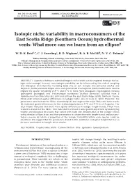 (Southern Ocean) Hydrothermal Vents: What More Can We Learn from an Ellipse?