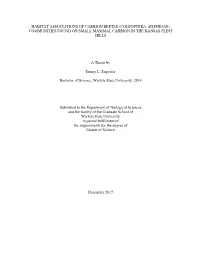 Thesis (861.9Kb)