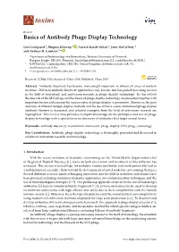 Basics of Antibody Phage Display Technology