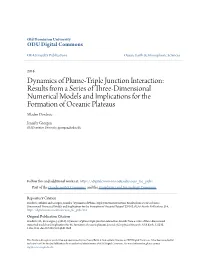 Dynamics of Plume-Triple Junction Interaction