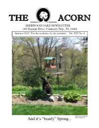 And It's “Bearly” Spring