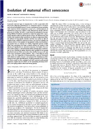 Evolution of Maternal Effect Senescence