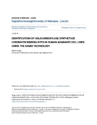 Identification of Holocarboxylase Synthetase Chromatin Binding Sites in Human Mammary Cell Lines Using the Damid Technology