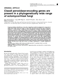 Classii Peroxidase-Encoding Genes Are Present in a Phylogenetically Wide Range of Ectomycorrhizal Fungi