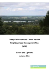 Development Plan Issues and Options