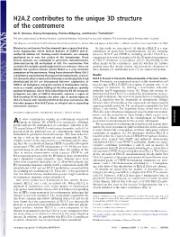 H2A.Z Contributes to the Unique 3D Structure of the Centromere